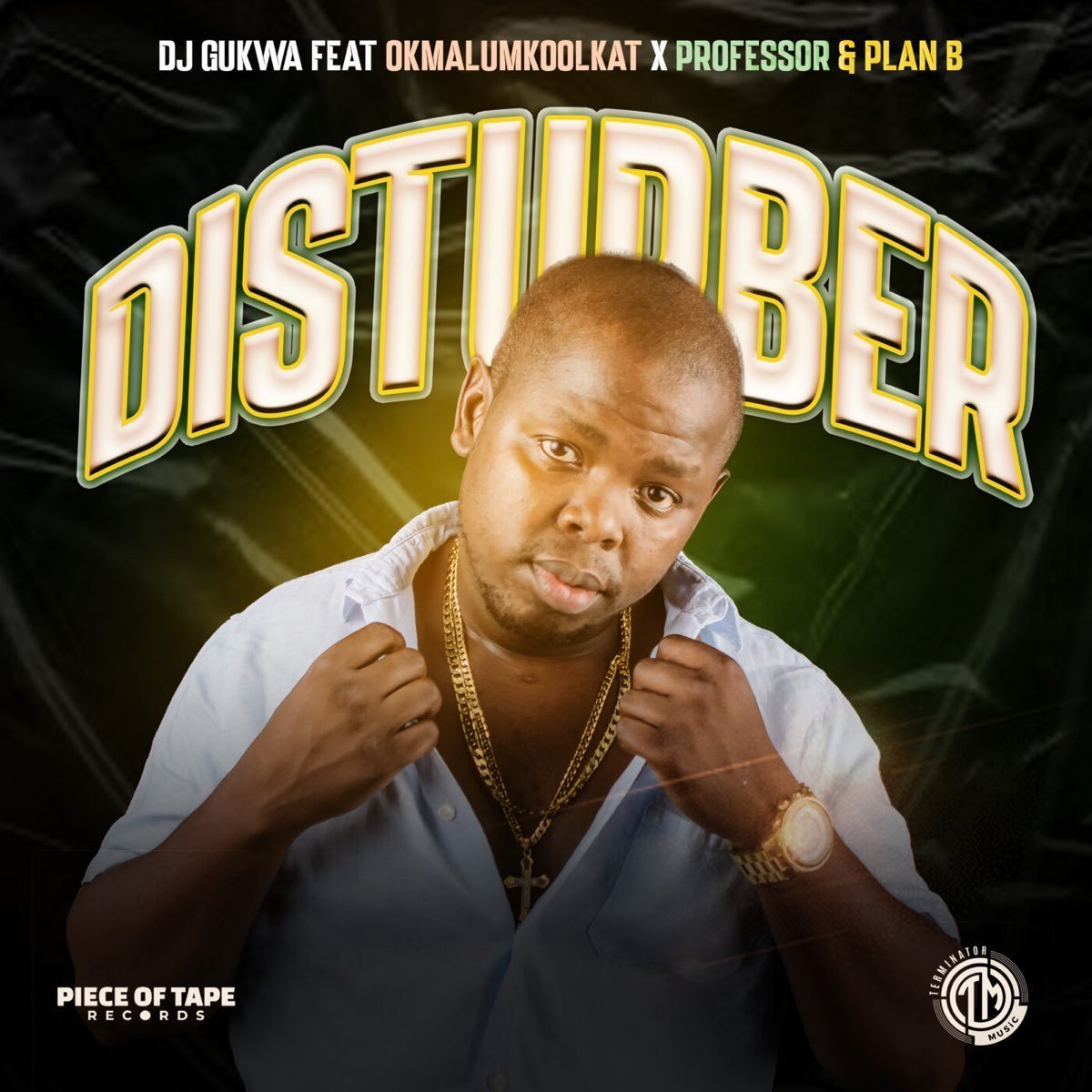 DJ Gukwa - Disturber ft. Okmalumkoolkat, Professor & Plan B mp3 download free lyrics