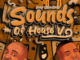 Deep Essentials – Sounds of House V EP