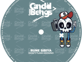 Rune Sibiya – Dont Turn Around (Original Mix)