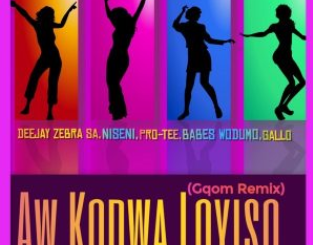 Deejay Zebra SA & Pro Tee – Aw Kodwa Loyiso (Gqom Remix) Ft. Niseni, Babes Wodumo & Gallo