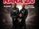 Dj Karri & Spova Da Gang - Nana 2.0 (Remix) Ft. SmallDrum, Rex