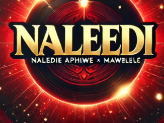 Naledie Aphiwe & Mawelele - Naleedi