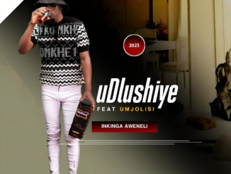 UDLUSHIYE - INKINGA AWENELI Ft. MJOLISI