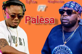 Dj Maphorisa Ft. DJ Tira - Palesa