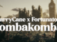 Harry Cane & Fortunator - Gombagomba