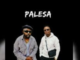 DJ Tira - Palesa