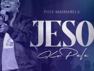 Pule Mashabela – Ditlo Feta (Live)