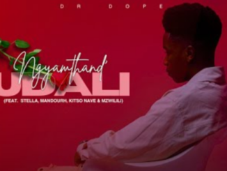 Dr Dope – Ngyamthand Udali Ft. Stella, Mandourh, Kitso Nave & Mzwilili