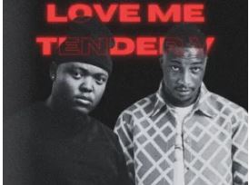 Gubziin & Nandipha808 – Love Me Tender