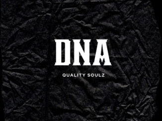 Quality Soulz - Dna 