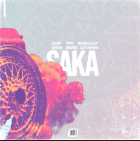 Blacko SA, Carter IV, Mellow & Sleazy - Saka Ft. Novatron, Scotts Maphuma & Shuga