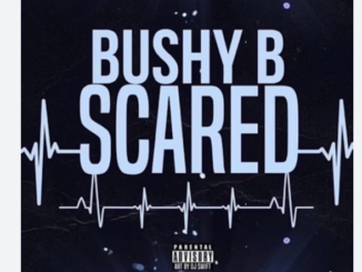 Bushy B – Scared (Speed Up)