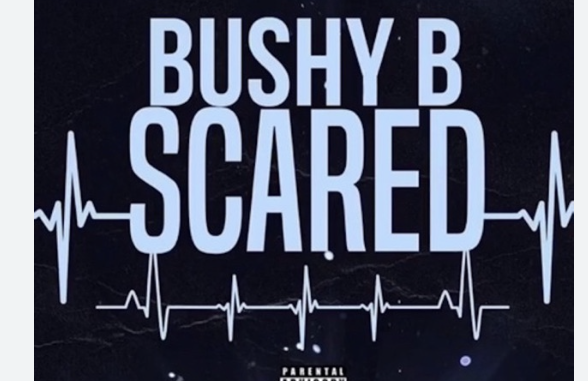 Bushy B – Scared (Speed Up)