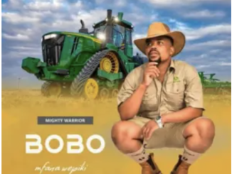 Bobo Mfana Wepiki