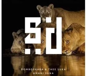 Domboshaba & Thee Suka – Amani Sana (Original Mix)