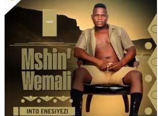 Mshinwemali – Into Enesiyezi