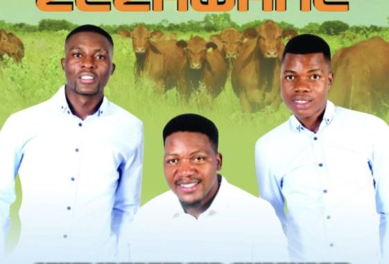 82 Insimbi ZeZhwane – KWELINGAFELWA NKONYANE